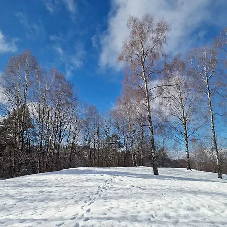 Cornigol Ai Piedi Delle Dolomiti
